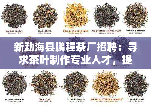 新勐海县鹏程茶厂招聘：寻求茶叶制作专业人才，提供优厚待遇与良好发展空间