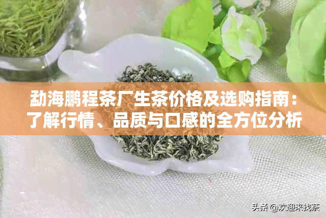 勐海鹏程茶厂生茶价格及选购指南：了解行情、品质与口感的全方位分析