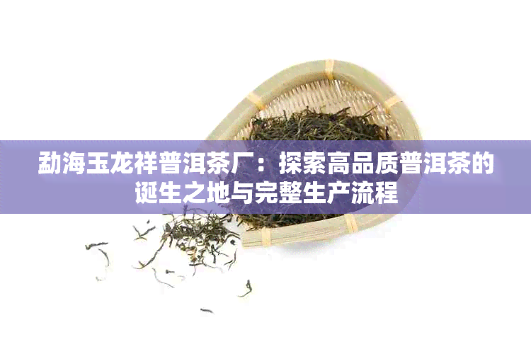 勐海玉龙祥普洱茶厂：探索高品质普洱茶的诞生之地与完整生产流程