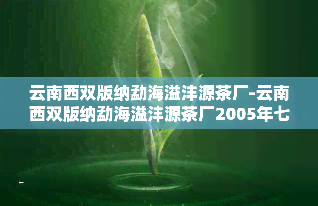 云南西双版纳勐海溢沣源茶厂-云南西双版纳勐海溢沣源茶厂2005年七子饼茶