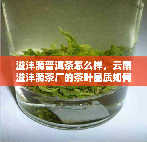 溢沣源普洱茶怎么样，云南溢沣源茶厂的茶叶品质如何？