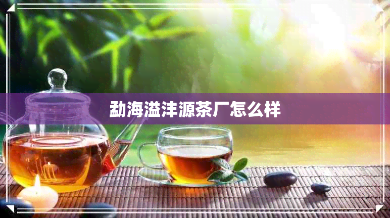 勐海溢沣源茶厂怎么样