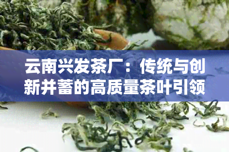 云南兴发茶厂：传统与创新并蓄的高质量茶叶引领者