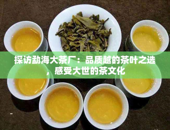 探访勐海大茶厂：品质越的茶叶之选，感受大世的茶文化