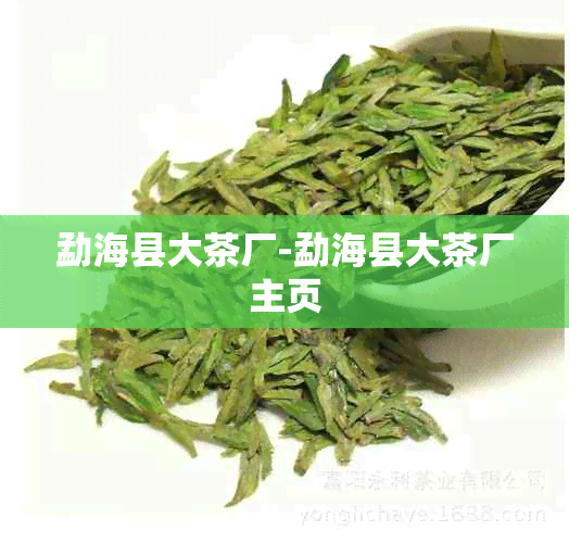 勐海县大茶厂-勐海县大茶厂主页