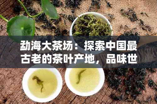 勐海大茶场：探索中国最古老的茶叶产地，品味世界级的普洱茶与绿茶