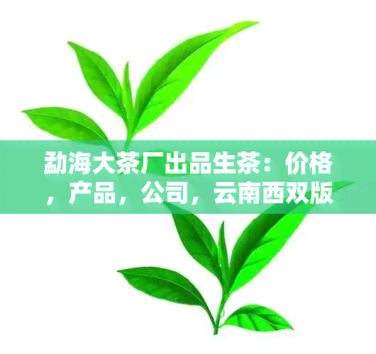 勐海大茶厂出品生茶：价格，产品，公司，云南西双版纳