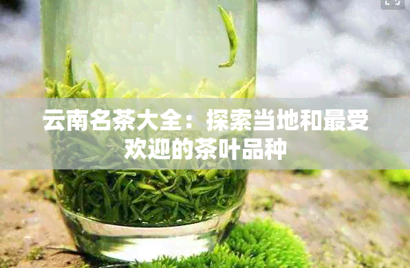 云南名茶大全：探索当地和更受欢迎的茶叶品种