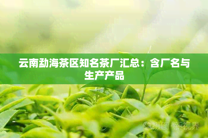 云南勐海茶区知名茶厂汇总：含厂名与生产产品