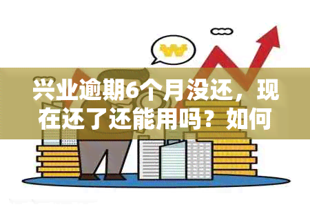 兴业逾期6个月没还，现在还了还能用吗？如何处理？