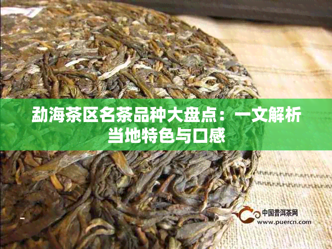 勐海茶区名茶品种大盘点：一文解析当地特色与口感