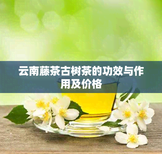 云南藤茶古树茶的功效与作用及价格