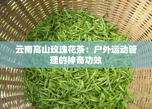 云南高山玫瑰花茶：户外运动管理的神奇功效