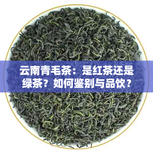 云南青毛茶：是红茶还是绿茶？如何鉴别与品饮？