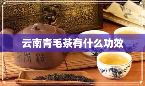 云南青毛茶有什么功效