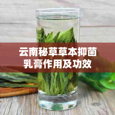 云南秘草草本抑菌乳膏作用及功效