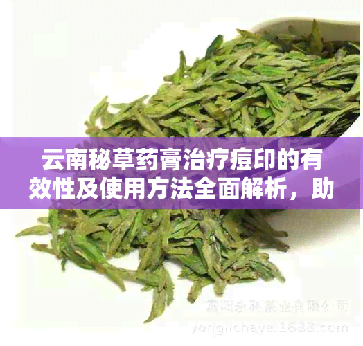 云南秘草膏治疗痘印的有效性及使用方法全面解析，助你轻松消除痘印困扰