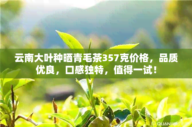 云南大叶种晒青毛茶357克价格，品质优良，口感独特，值得一试！