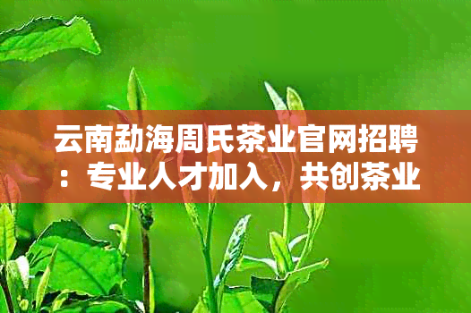 云南勐海周氏茶业官网招聘：专业人才加入，共创茶业未来