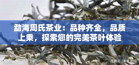 勐海周氏茶业：品种齐全，品质上乘，探索您的完美茶叶体验