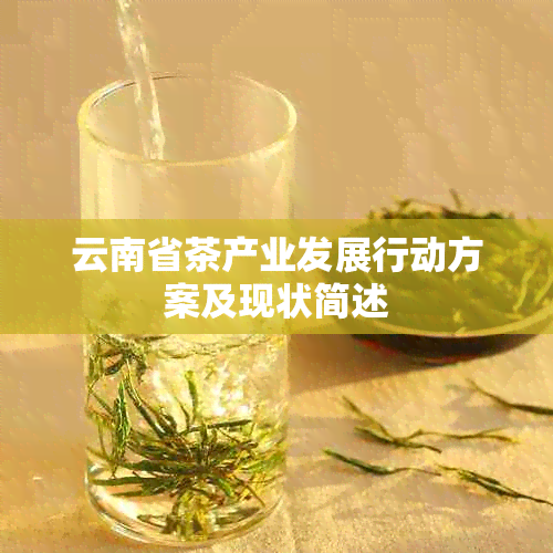 云南省茶产业发展行动方案及现状简述