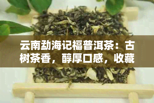 云南勐海记福普洱茶：古树茶香，醇厚口感，收藏佳品