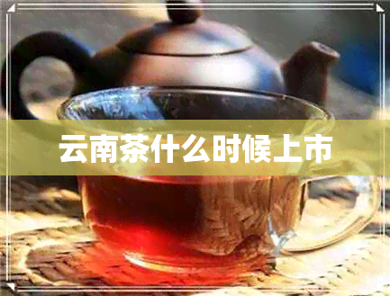 云南茶什么时候上市