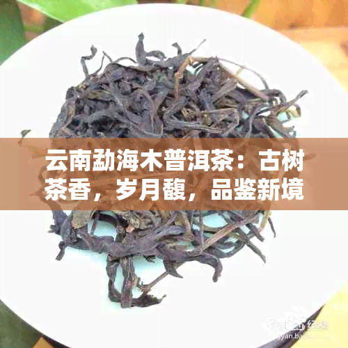 云南勐海木普洱茶：古树茶香，岁月馥，品鉴新境界