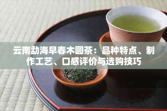 云南勐海早春木圆茶：品种特点、制作工艺、口感评价与选购技巧