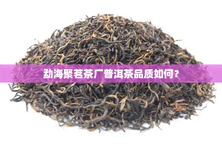 勐海聚茗茶厂普洱茶品质如何？