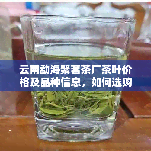 云南勐海聚茗茶厂茶叶价格及品种信息，如何选购和品鉴茶叶的全方位指南