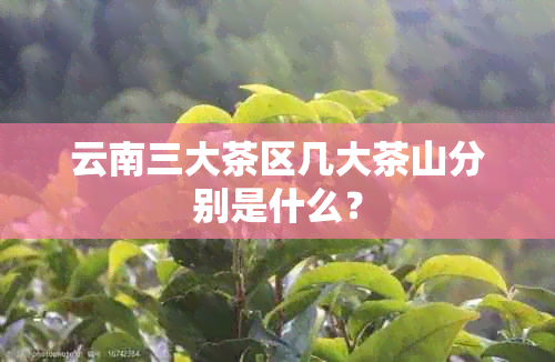 云南三大茶区几大茶山分别是什么？