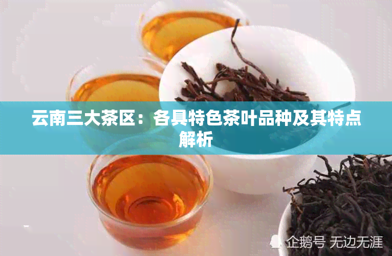 云南三大茶区：各具特色茶叶品种及其特点解析