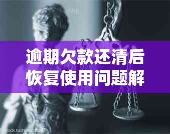 逾期欠款还清后恢复使用问题解惑：原因分析与解决方案