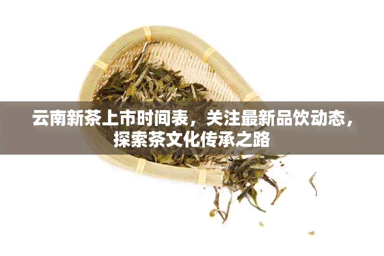 云南新茶上市时间表，关注最新品饮动态，探索茶文化传承之路