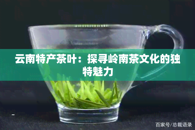 云南特产茶叶：探寻岭南茶文化的独特魅力