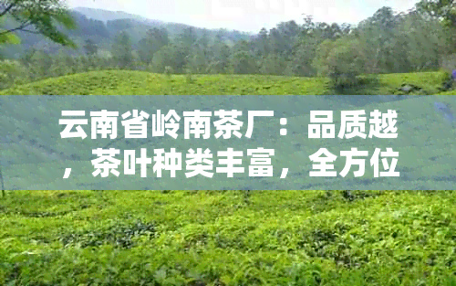 云南省岭南茶厂：品质越，茶叶种类丰富，全方位满足您的饮茶需求