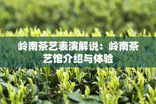 岭南茶艺表演解说：岭南茶艺馆介绍与体验