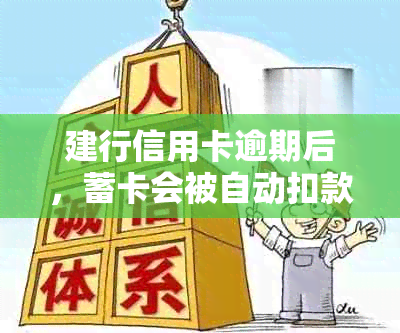 建行信用卡逾期后，蓄卡会被自动扣款吗？安全性如何保障？