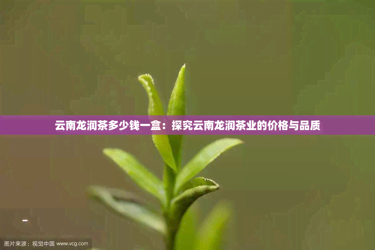 云南龙润茶多少钱一盒：探究云南龙润茶业的价格与品质