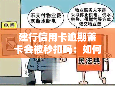 建行信用卡逾期蓄卡会被秒扣吗：如何安全处理？