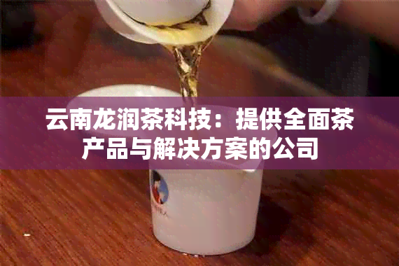 云南龙润茶科技：提供全面茶产品与解决方案的公司