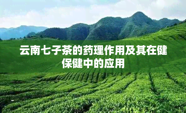 云南七子茶的理作用及其在健保健中的应用