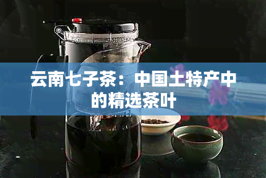 云南七子茶：中国土特产中的精选茶叶