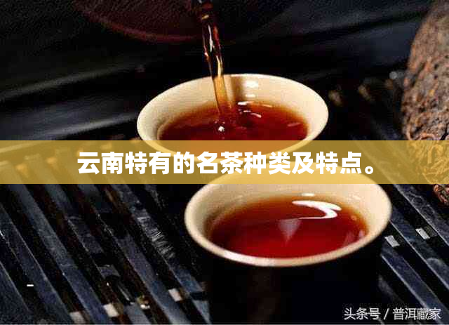 云南特有的名茶种类及特点。