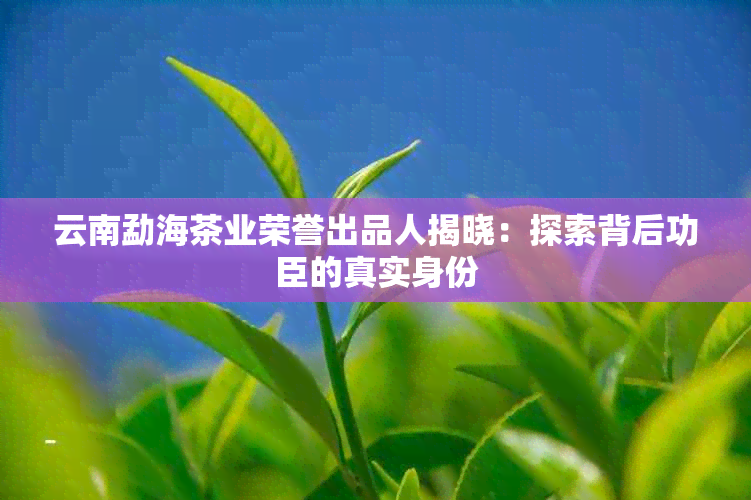 云南勐海茶业荣誉出品人揭晓：探索背后功臣的真实身份