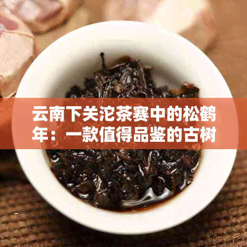 云南下关沱茶赛中的松鹤年：一款值得品鉴的古树茶