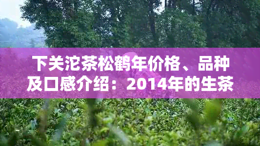 下关沱茶松鹤年价格、品种及口感介绍：2014年的生茶还是熟茶？