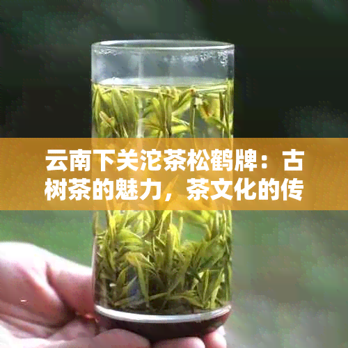 云南下关沱茶松鹤牌：古树茶的魅力，茶文化的传承，品质生活的追求