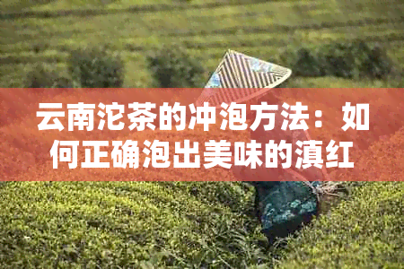 云南沱茶的冲泡方法：如何正确泡出美味的滇红？